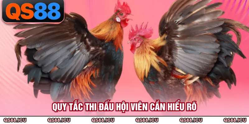Quy tắc thi đấu hội viên cần hiểu rõ