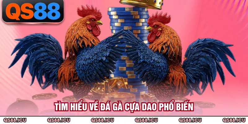 Tìm hiểu về đá gà cựa dao phổ biến